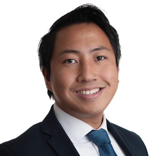 Duc Toan Nguyen - tecis